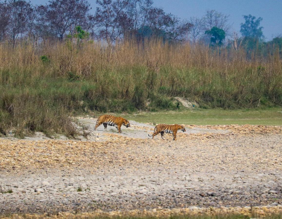 Bardia Wildlife Resort Bardiya Dış mekan fotoğraf