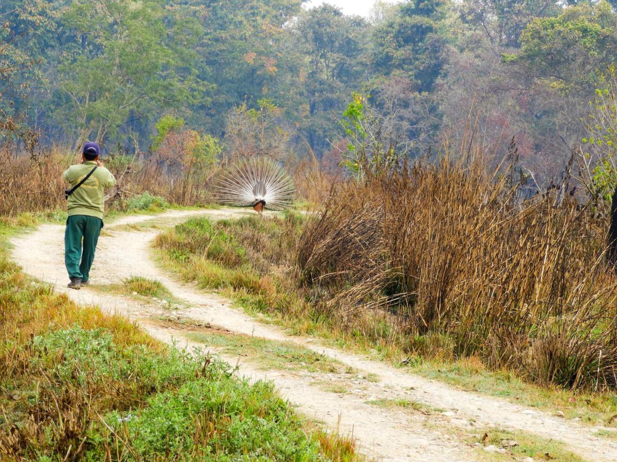 Bardia Wildlife Resort Bardiya Dış mekan fotoğraf