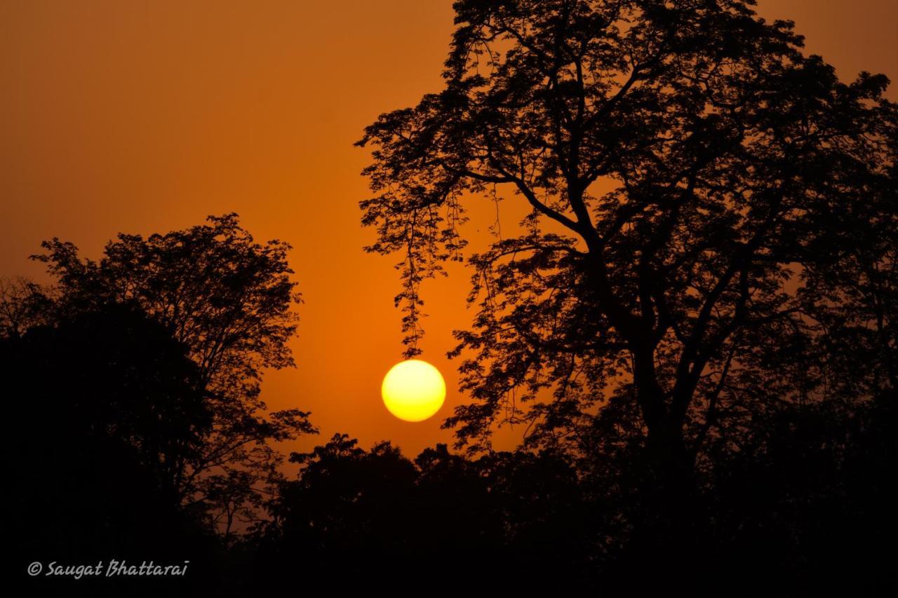Bardia Wildlife Resort Bardiya Dış mekan fotoğraf